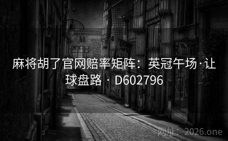 麻将胡了官网赔率矩阵：英冠午场·让球盘路 · D602796