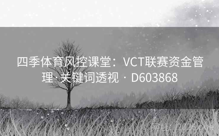 四季体育风控课堂：VCT联赛资金管理·关键词透视 · D603868  第2张